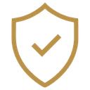 Icono de escudo con palomita